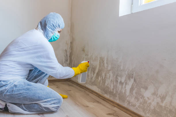 Mold Remediation specialist working in Bunn