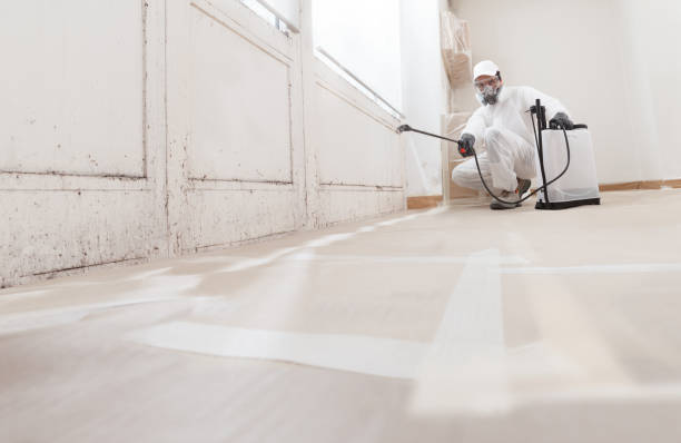 Black mold remediation team in Bunn